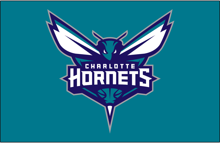 Charlotte Hornets 2014-Pres Primary Dark Logo iron on transfers for T-shirts